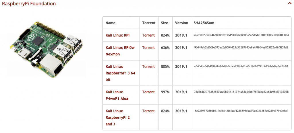 Kali 2019 pour rasberry pi