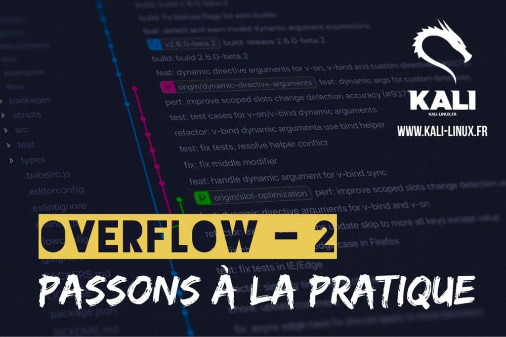 buffer overflow exercises pratiques