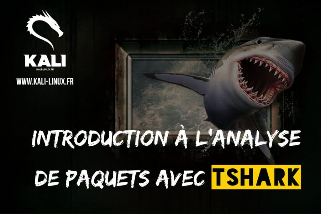analyse de paquets avec tshark